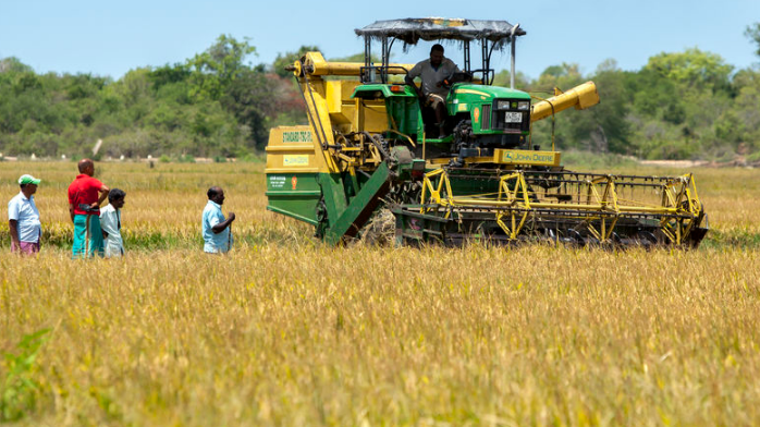 Conflict monitor: Food security at risk