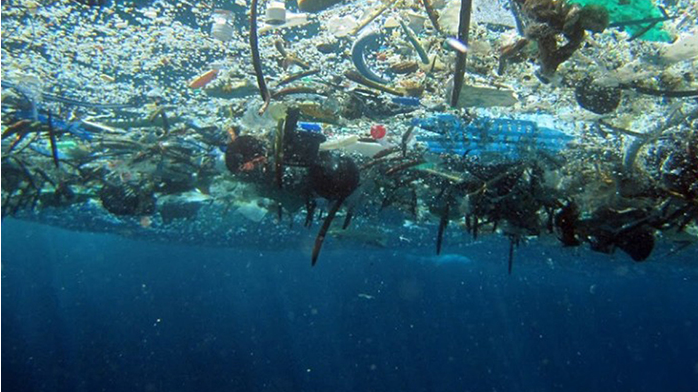 Southeast Asia: Insurers should exclude fossil fuel projects in Coral triangle