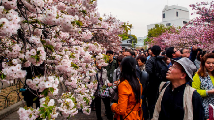 Japan:  Nippon Life's rating outlook assessed as positive on rebound in underwriting profitability