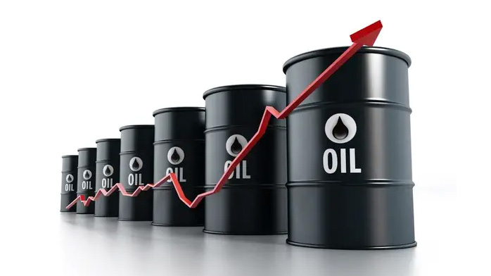 Japan: Japanese insurer warns against reliance on fossil fuels but questions arise