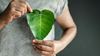 Magazine article aboutExpectations-for-sustainability-disclosures-for-life-insurers 